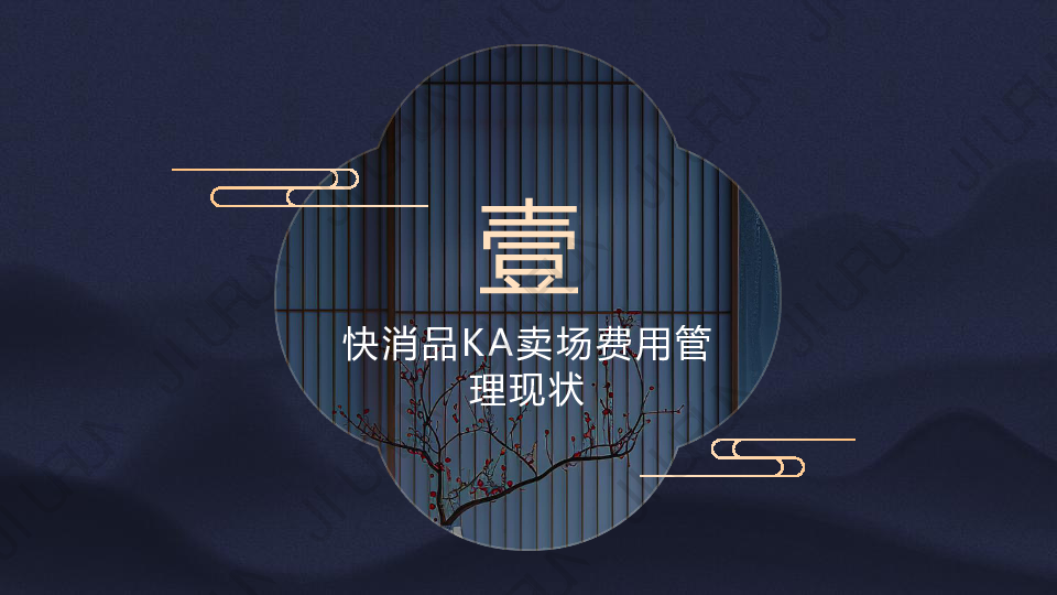 快消品KA卖场费用优化模型报告